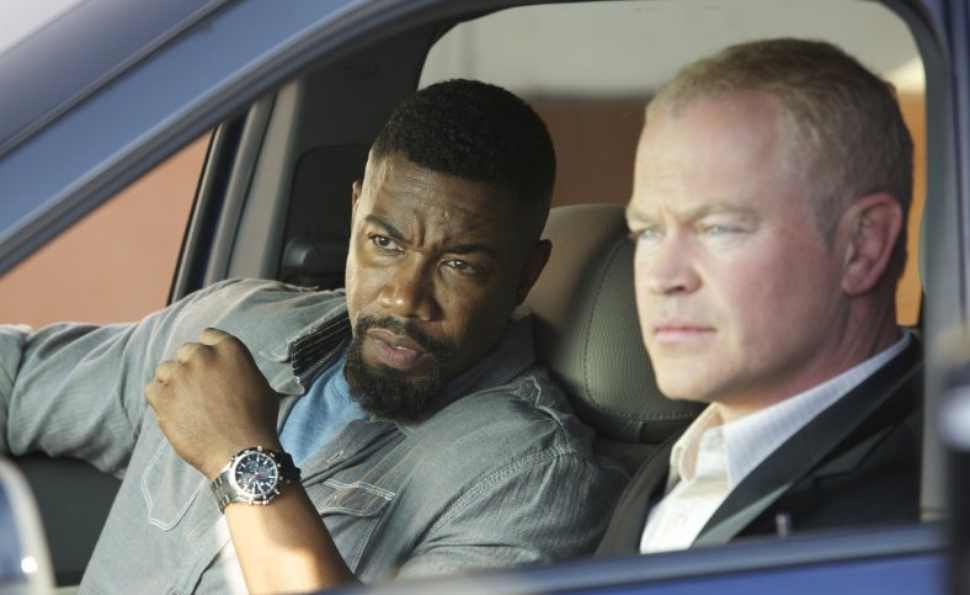 Falcon Rising